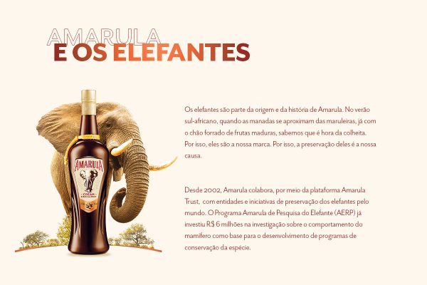 Site Amarula e os elefantes