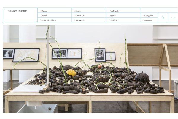 Site Nydia Negromonte